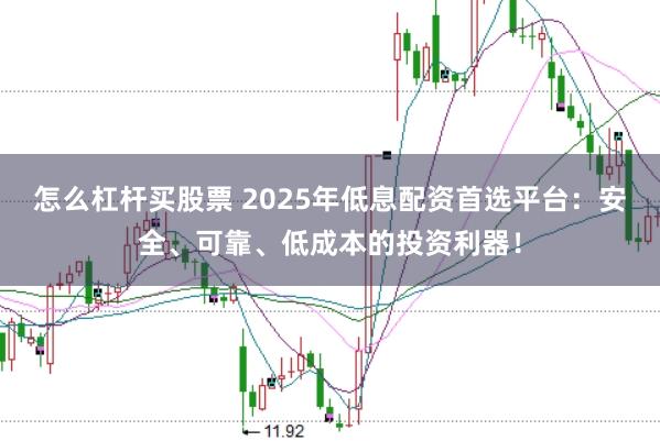 怎么杠杆买股票 2025年低息配资首选平台：安全、可靠、低成本的投资利器！