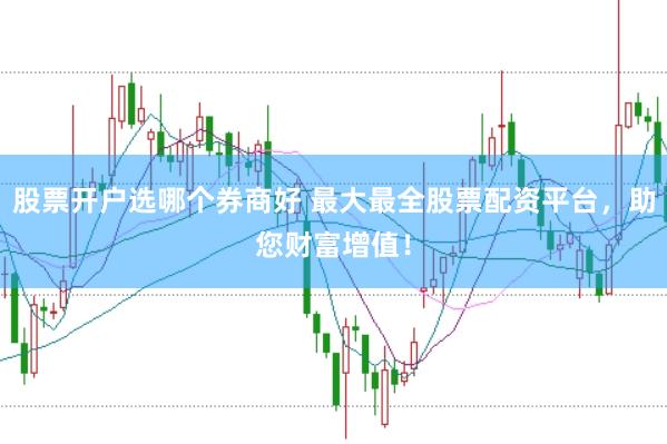 股票开户选哪个券商好 最大最全股票配资平台，<a href=