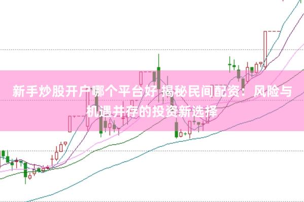 新手炒股开户哪个平台好 揭秘民间配资：风险与机遇并存的投资新选择