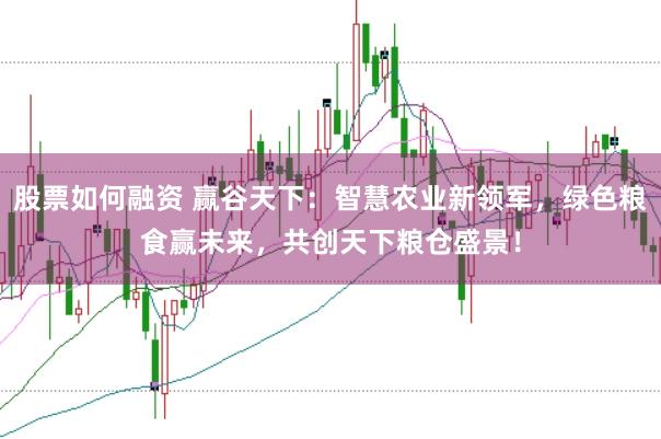 股票如何融资 赢谷天下：智慧农业新领军，绿色粮食赢未来，共创天下粮仓盛景！