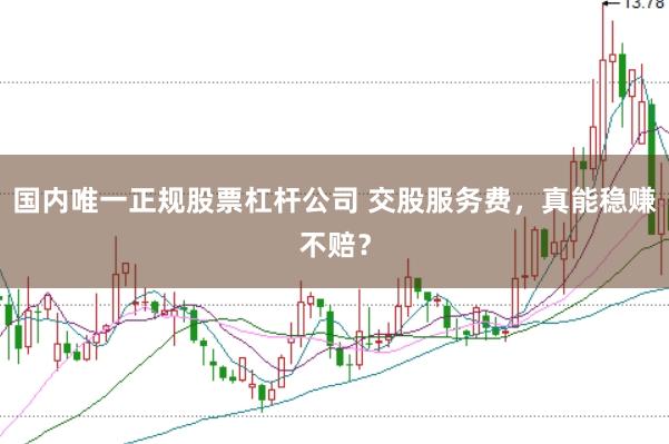 国内唯一正规股票杠杆公司 交股服务费，真能稳赚不赔？