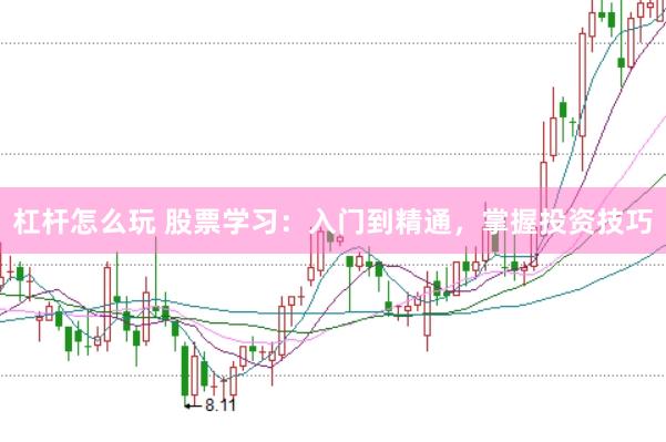 杠杆怎么玩 股票学习：入门到精通，掌握投资技巧