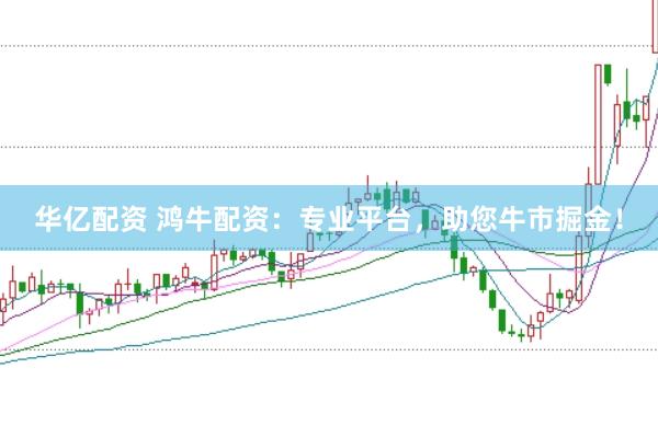 华亿配资 鸿牛配资：专业平台，助您牛市掘金！