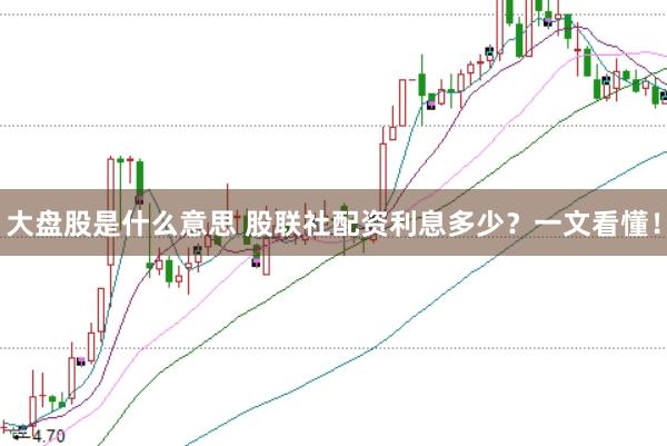 大盘股是什么意思 股联社配资利息多少？一文看懂！