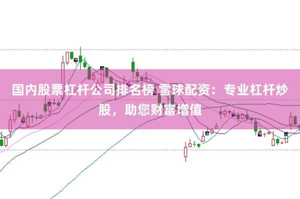 国内股票杠杆公司排名榜 雪球配资：专业杠杆炒股，助您财富增值