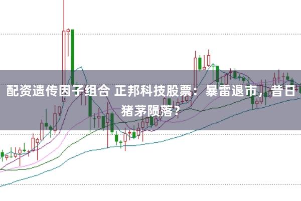 配资遗传因子组合 正邦科技股票：暴雷退市，昔日猪茅陨落？