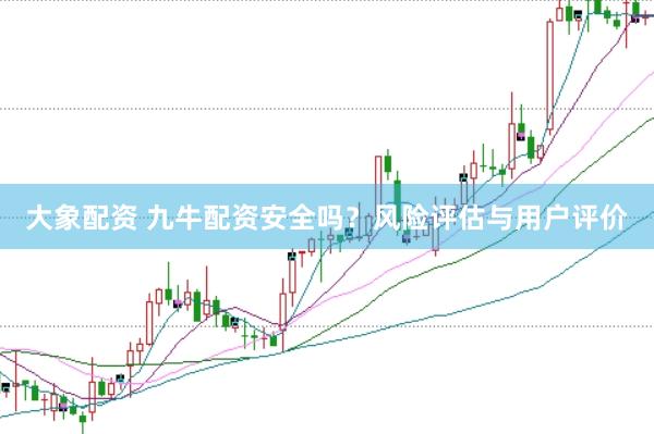 大象配资 九牛配资安全吗？风险评估与用户评价