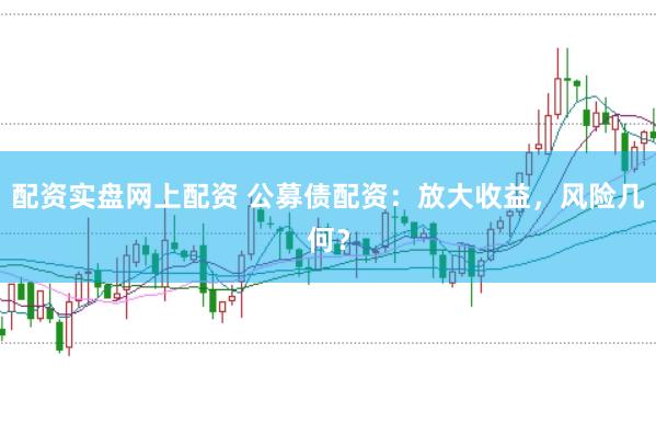 配资实盘网上配资 公募债配资：放大收益，风险几何？