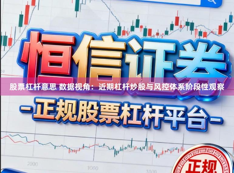 股票杠杆意思 数据视角:近期杠杆炒股与风控体系阶段性观察