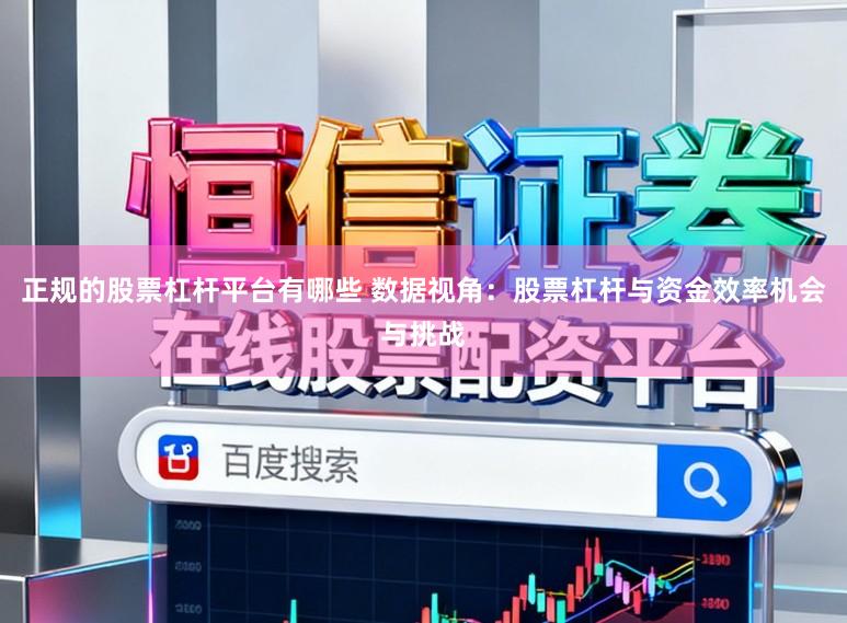 正规的股票杠杆平台有哪些 数据视角：股票杠杆与资金效率机会与挑战