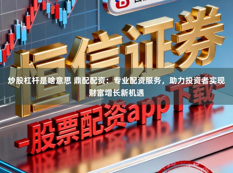 炒股杠杆是啥意思 鼎配配资：专业配资服务，助力投资者实现财富增长新机遇